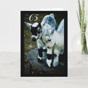 KIDS ÄR AMAZERADE OM DU VÄNTAR **65** KORT