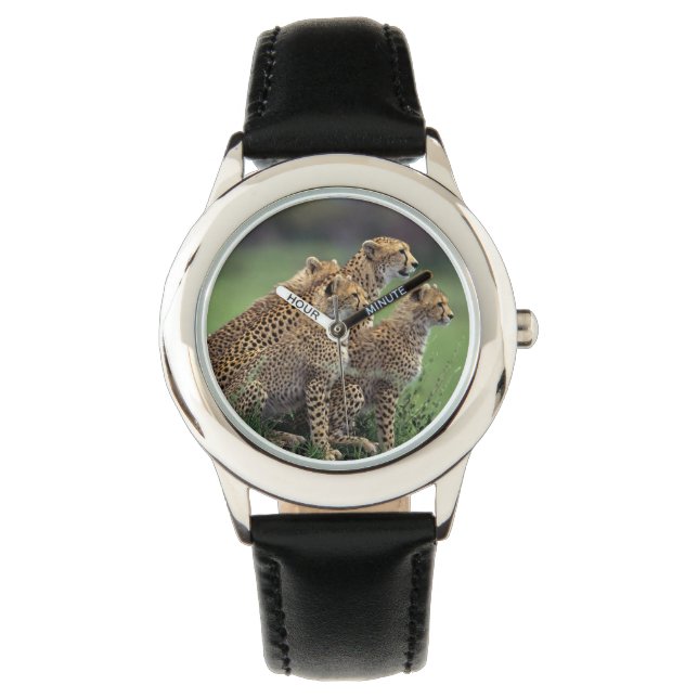 Kids Classic Watch/Wildlife Cheetahs Armbandsur (Framsida)