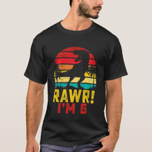 Kids Rawr I är 6 år gammal Boy Dinosaur Rex 6e B T Shirt