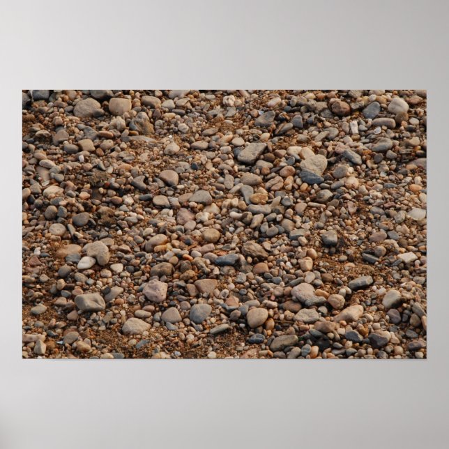 Kieselstein - Småstarna Poster (Framsidan)