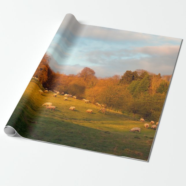 Kiftsgate Presentpapper (Utrullad)