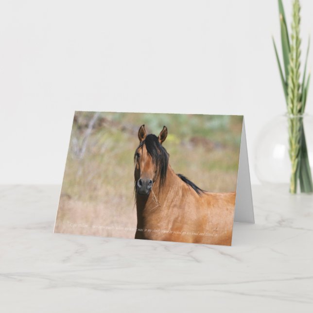 Kiger Stallion Greeting Card Kort (Framsida)