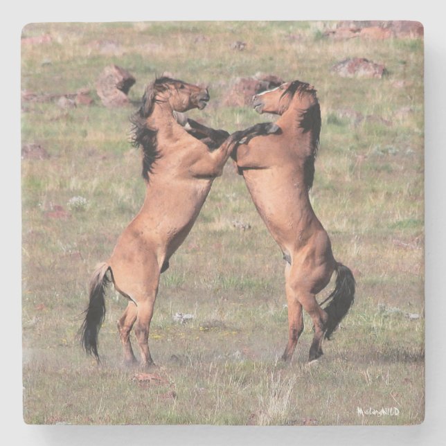 Kiger vildunderlägg stenunderlägg (Framsidan)