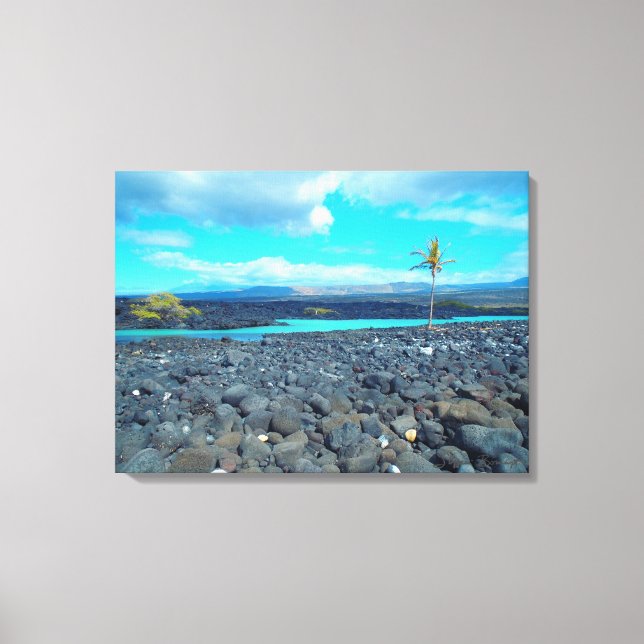 Kiholo Bay fångade scenvy Hawaii canvas (Framsida)