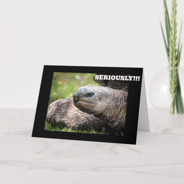 **KIK TURTLE** SÄGER ATT DU ALDRIG ÄR ÅLDRANDE! KORT (Framsida)