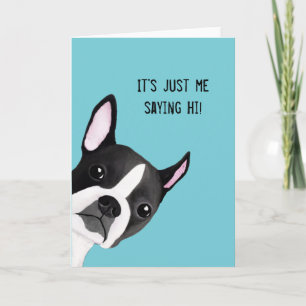 Kika Boston det Terrier illustrerade Kort