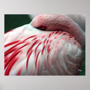 Kika en bu, S Cyr Poster