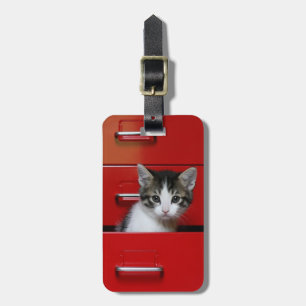 Kika för kattunge bagagebricka