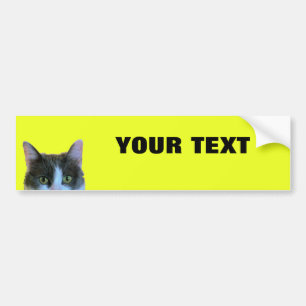 Kika katten din text "folioextra som sätta en bildekal