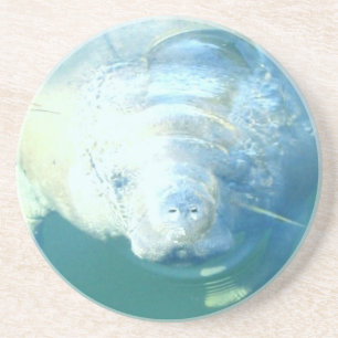 Kika Manateekustfartyget Underlägg