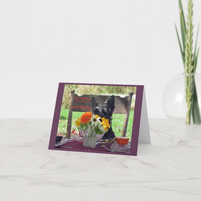 Kikar Kort (Framsida)