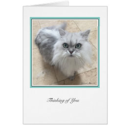 KiKi Ciollection # 2 OBS Kort