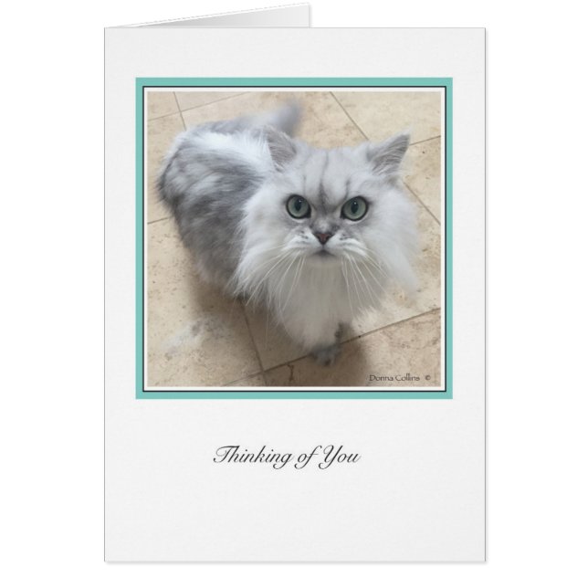 KiKi Ciollection # 2 OBS Kort (Framsidan)