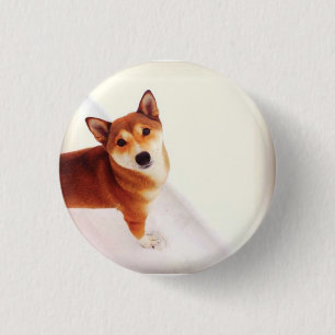 Kiki den Shiba baksidaen - packen knäppas Knapp