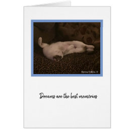 KiKi-samling #2 OBS Kort