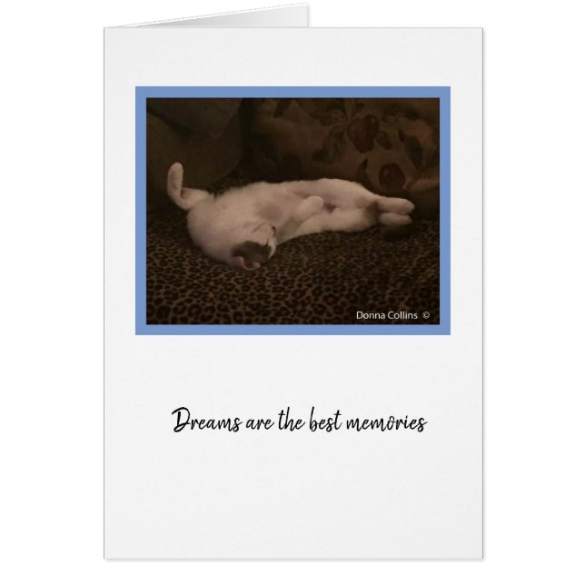 KiKi-samling #2 OBS Kort (Framsidan)