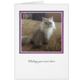 KiKi-samling nr 1 OBS Kort