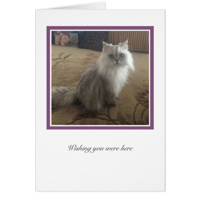 KiKi-samling nr 1 OBS Kort (Framsidan)