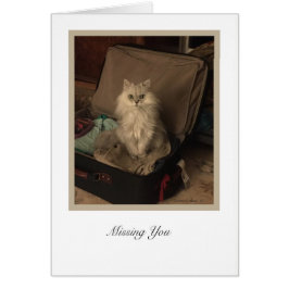 KiKi-samling OBS Kort