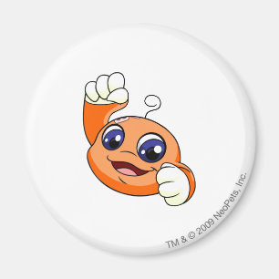 Kiko orange magnet