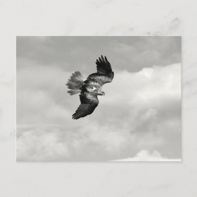 kila vykort (Framsida)