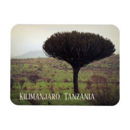 Kilimanjaro, Candelabra Träd Magnet