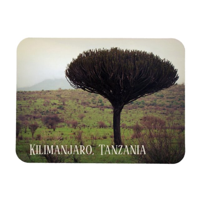 Kilimanjaro, Candelabra Träd Magnet (Horisontell)