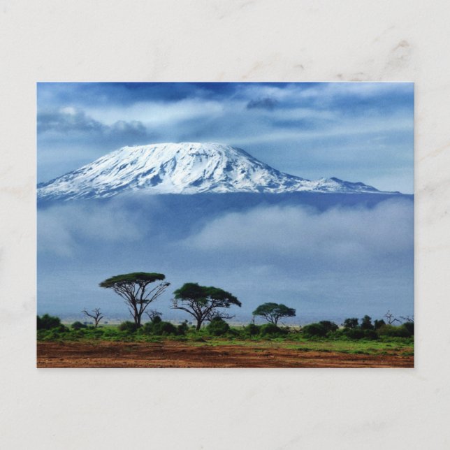 Kilimanjaro Kenya Vykort (Framsida)