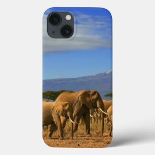 Kilimanjaro och elefanter