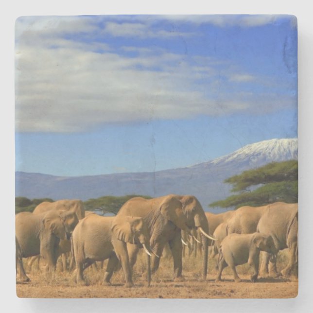 Kilimanjaro och elefanter stenunderlägg (Framsidan)