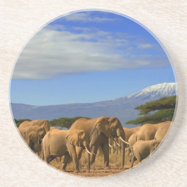 Kilimanjaro och elefanter underlägg sandsten (Framsidan)