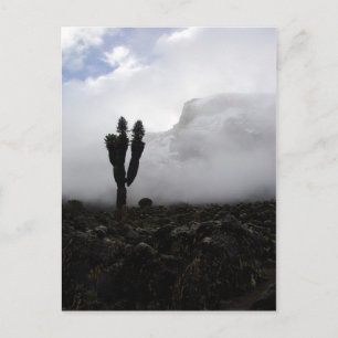 Kilimanjaro (porträtt) vykort