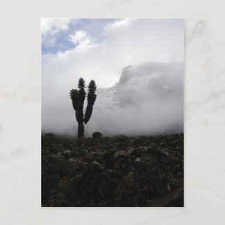 Kilimanjaro (porträtt) vykort