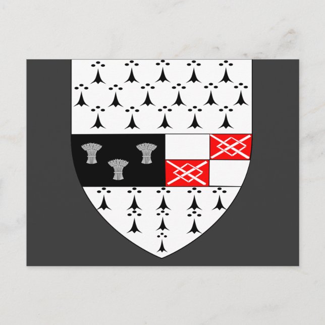 Kilkenny County Vapensköld, Irland Vykort (Framsida)