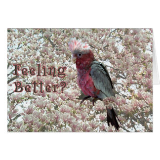 Killade rosor hälsningskort