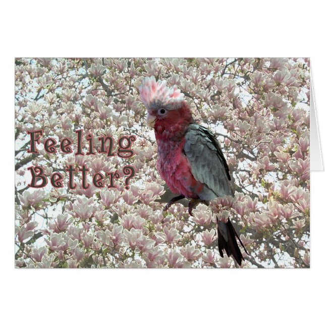 Killade rosor hälsningskort (Framsidan Horizontal)