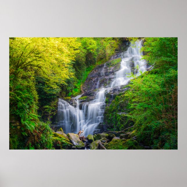 Killarney Irland Vattenfallstryck | Skogs konst Poster (Framsidan)