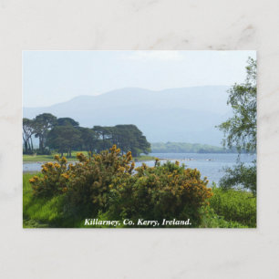 Killarney lakeside, County Kerry, Irland Vykort