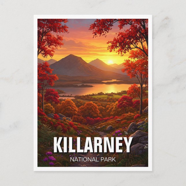 Killarney National Park Ireland Travel Vykort (Framsida)
