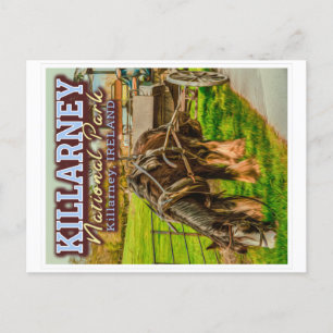 KILLARNEY NATIONALPARK - KILLARNEY IRLAND VYKORT
