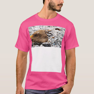 Killdeer Bird Guarding Hennes Nest TShir T Shirt