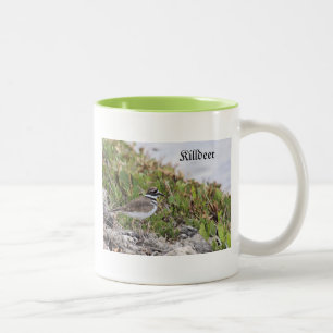 Killdeer Bird, Mugg