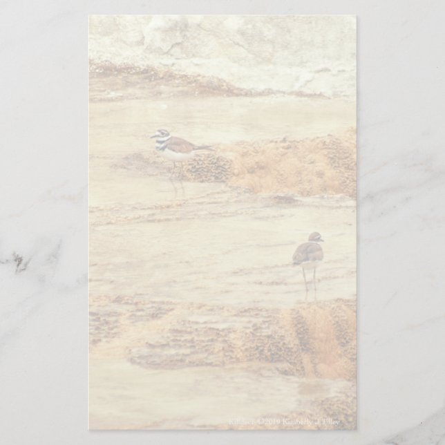 Killdeer Brevpapper (Framsida)