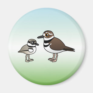 Killdeer & chick magnet