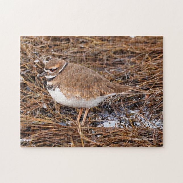 Killdeer in the Freezing Mudflats Pussel (Horisontell)