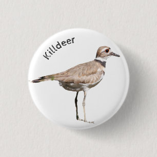 Killdeer Knapp