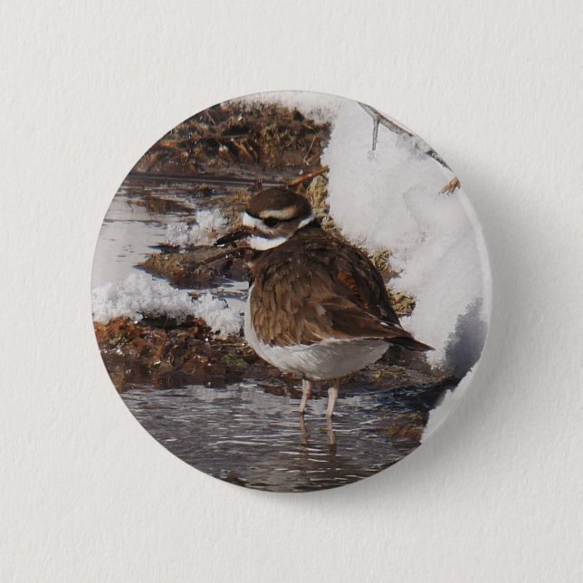 Killdeer-märke Knapp (Framsida)