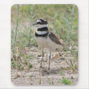 Killdeer Mousepad Musmatta