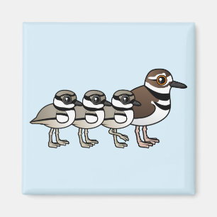Killdeer & tre chickar magnet