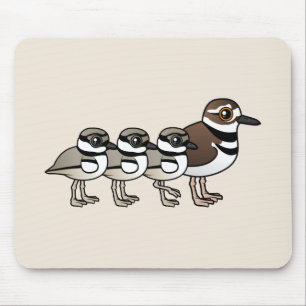 Killdeer & tre chickar musmatta